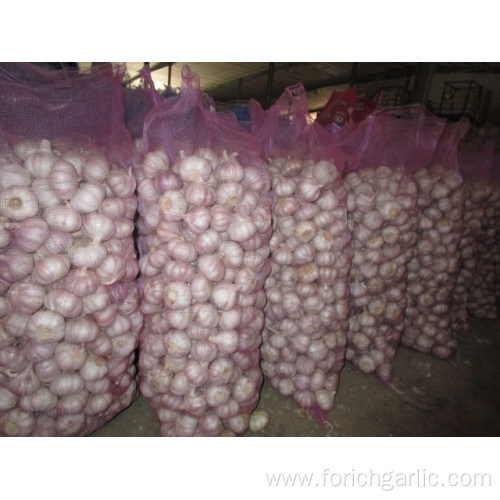 Loose Bag Normal white garlic of 10kg